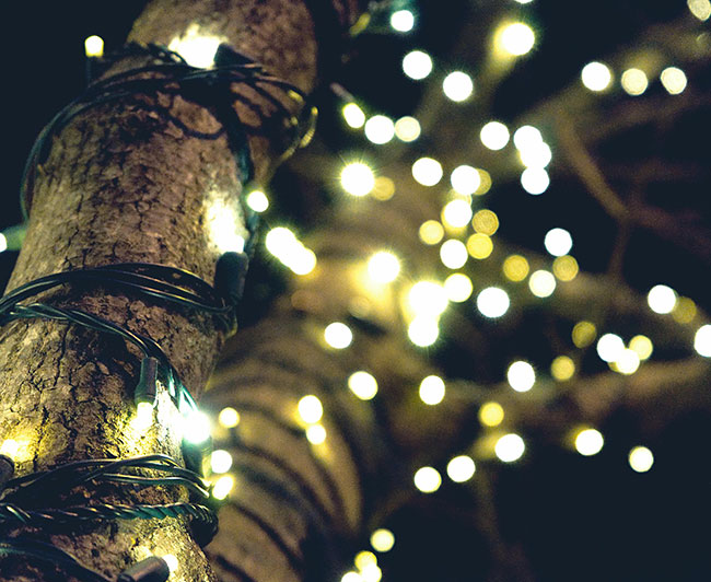 Christmas lights installed locally